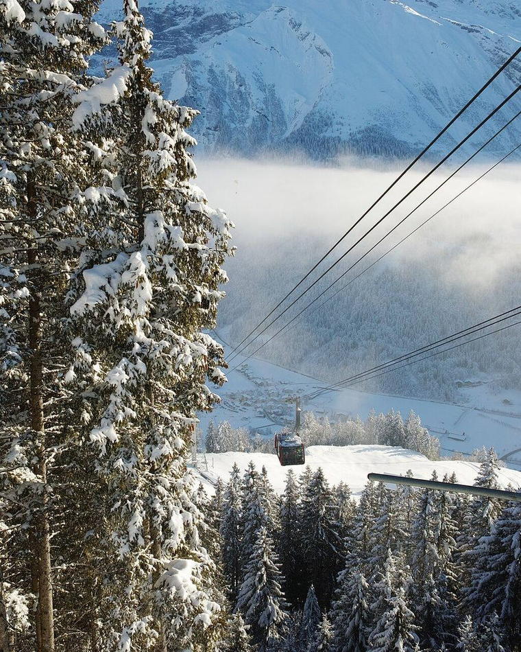 A cable car descending towards Engelberg through snow-covered pines.