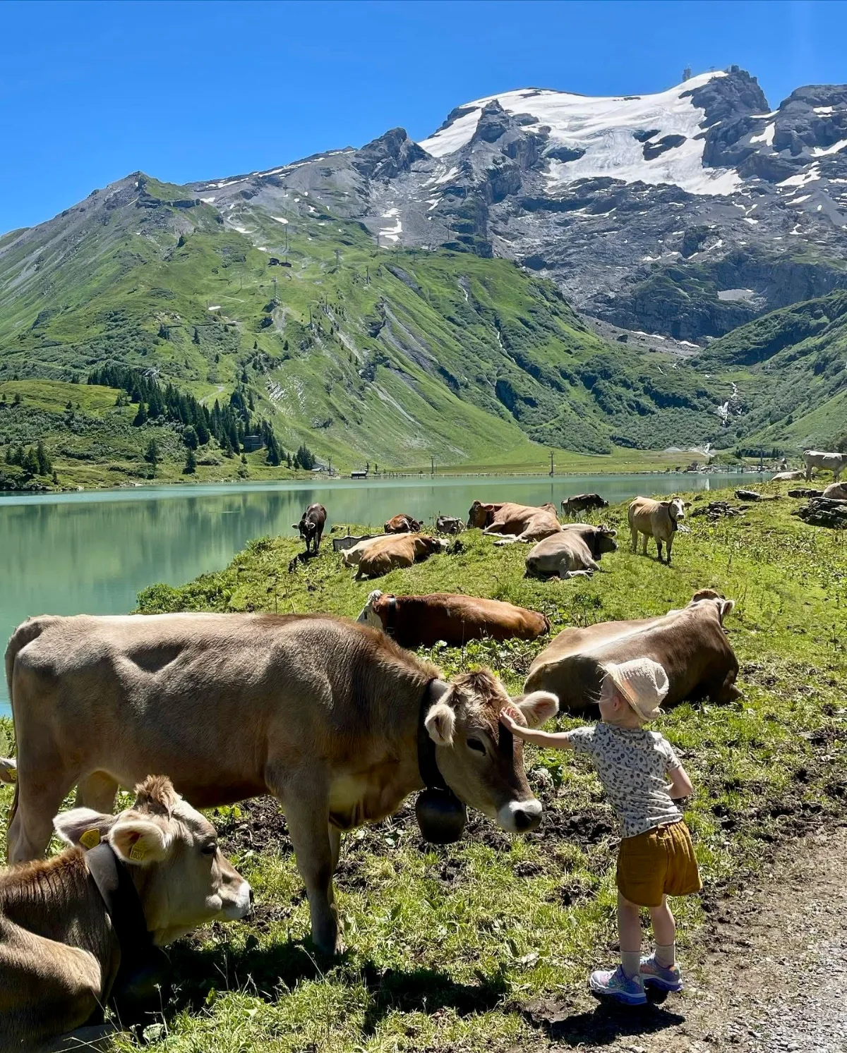 Trübsee summer