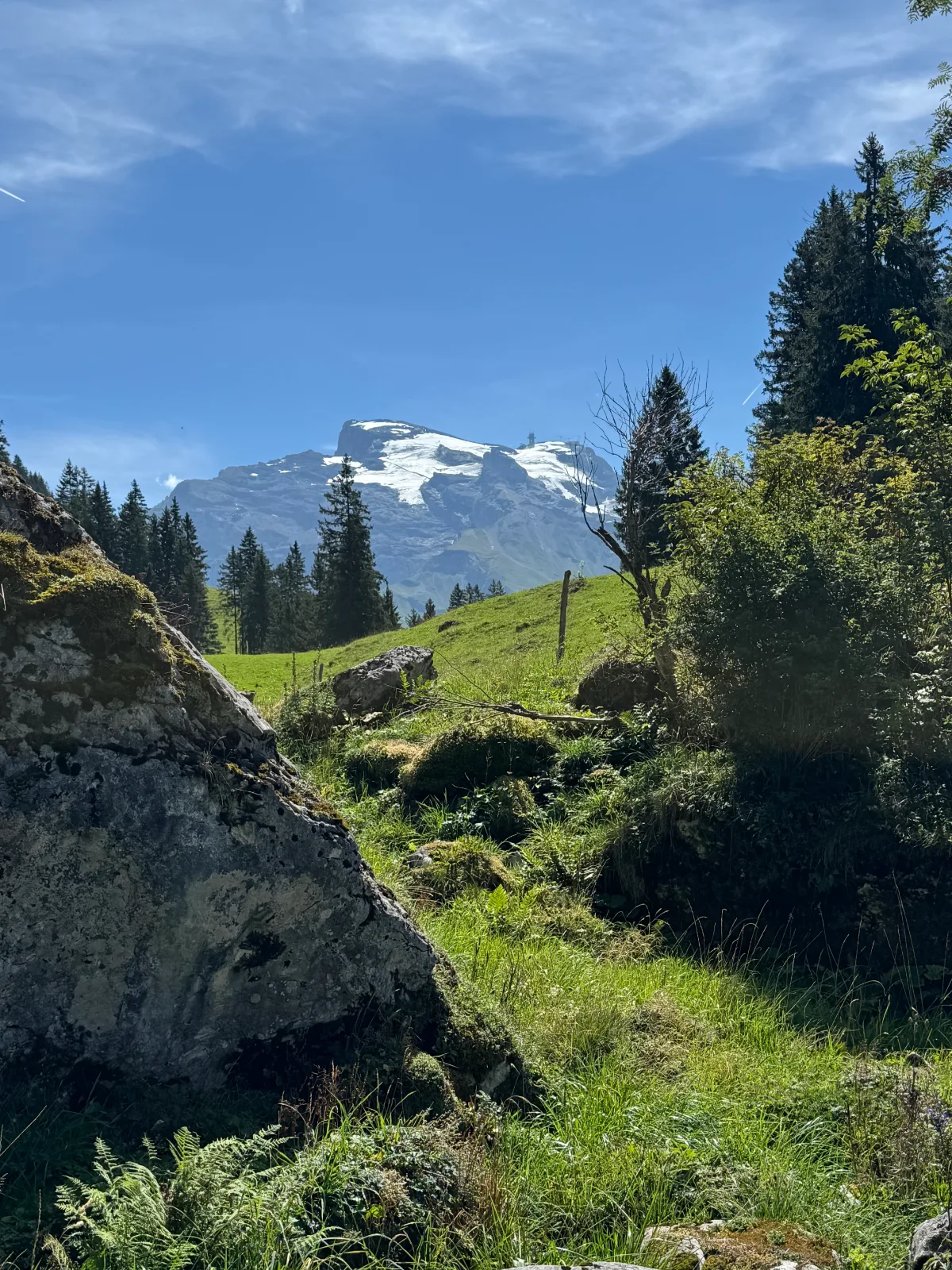 Road from Ristis down